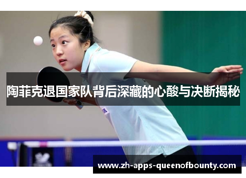陶菲克退国家队背后深藏的心酸与决断揭秘