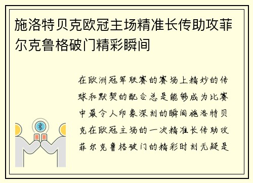 施洛特贝克欧冠主场精准长传助攻菲尔克鲁格破门精彩瞬间